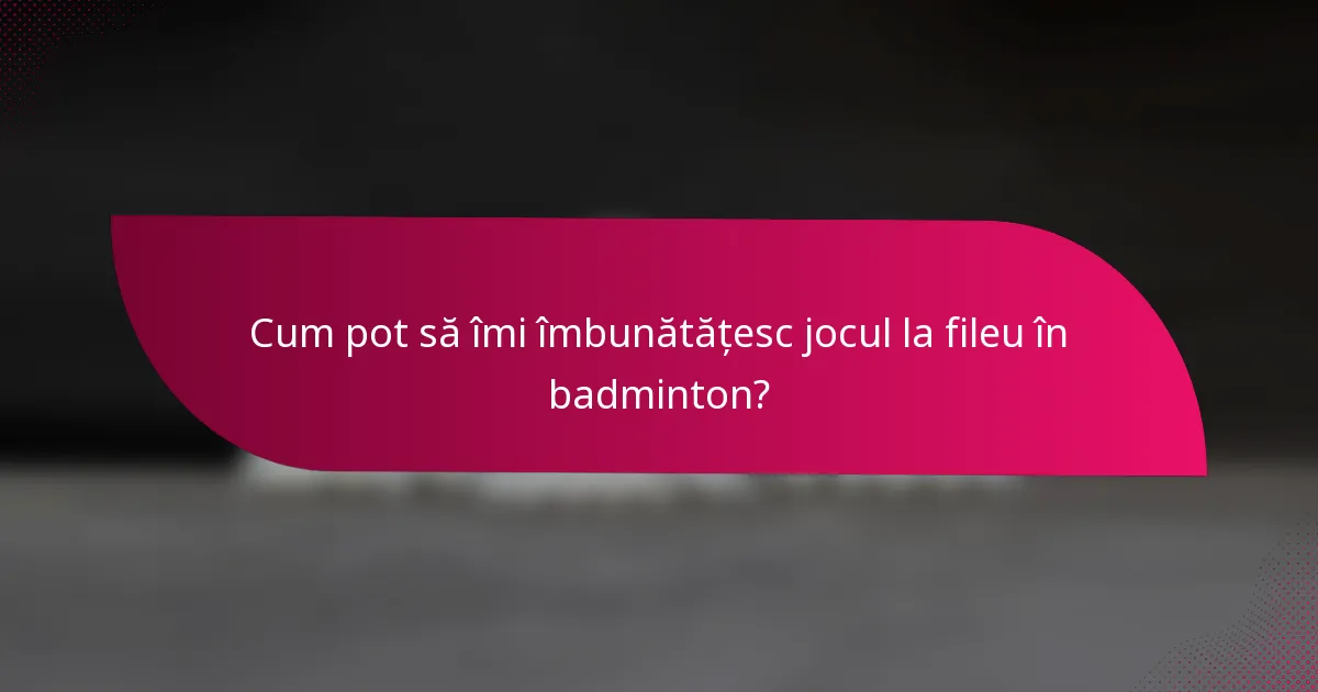 Cum pot să îmi îmbunătățesc jocul la fileu în badminton?