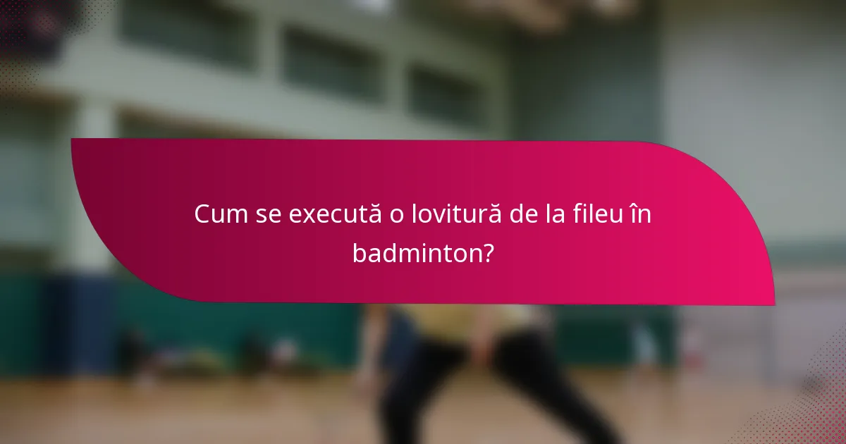 Cum se execută o lovitură de la fileu în badminton?